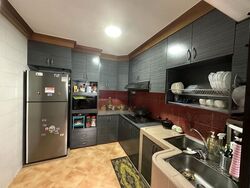 bukit-panjang-ring-road photo thumbnail #9